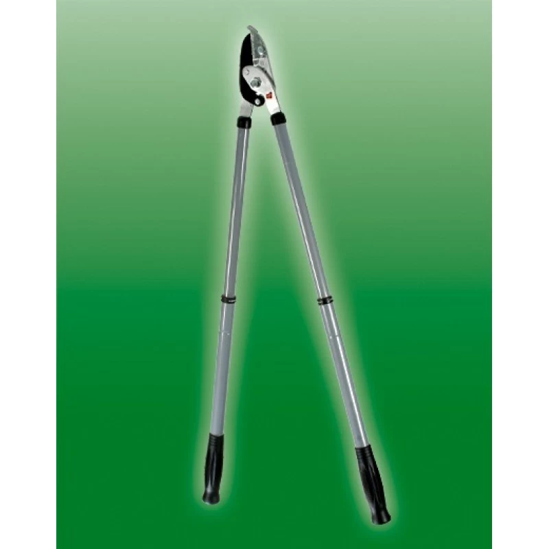 Talen Tools Takkenschaar Voorbijsnijdend, Telescopisch 1 Talen Tools Takkenschaar Voorbijsnijdend, Telescopisch