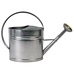 Gieter 10 Liter Gegalvaniseerd, Talen Tools